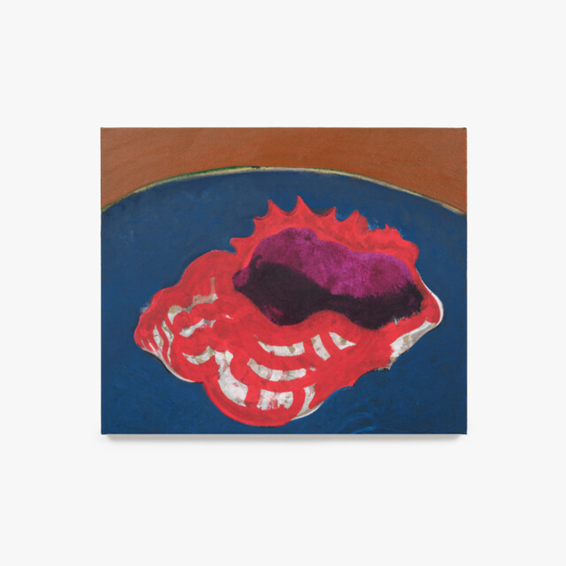 Seashell (organ)