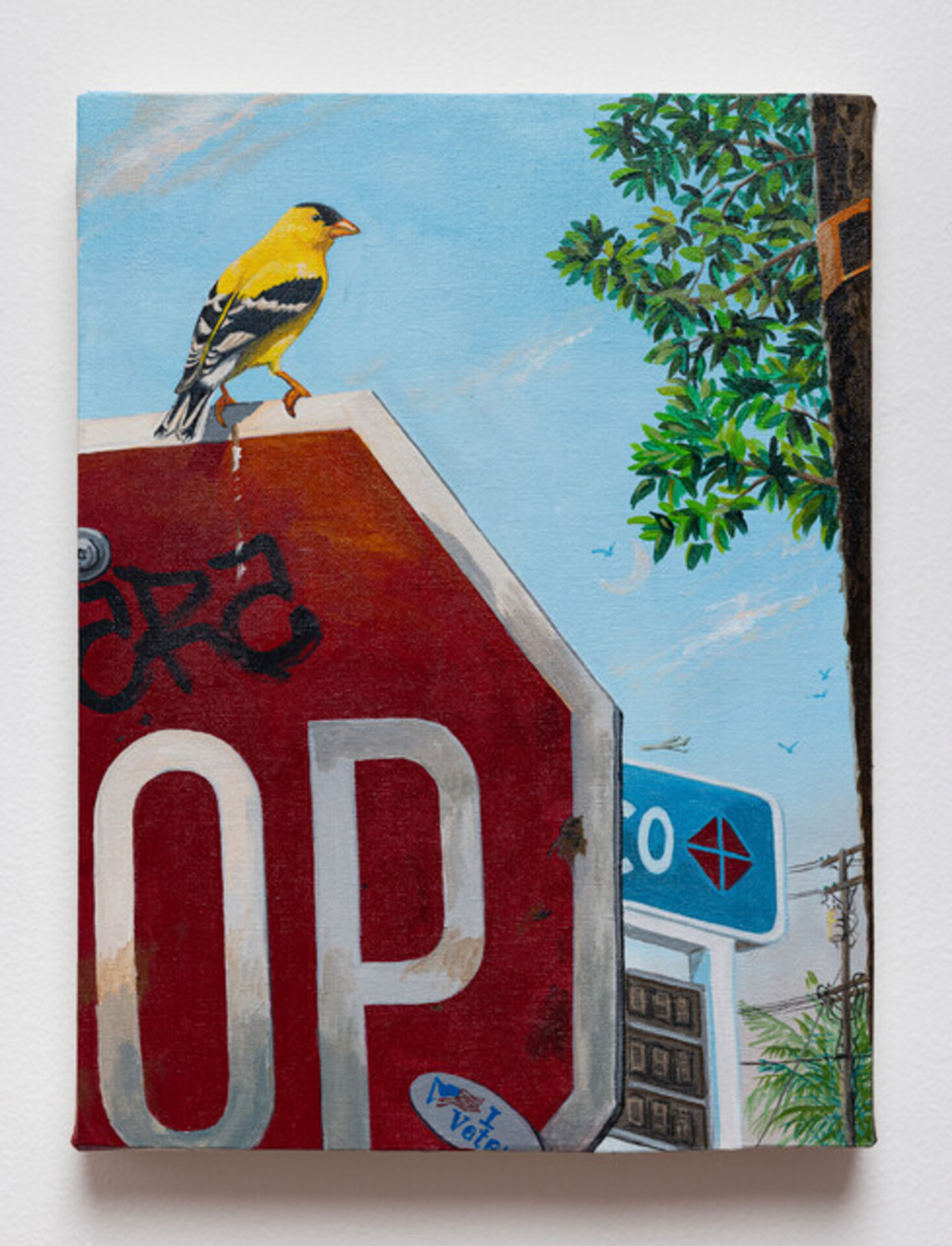 American Goldfinch
