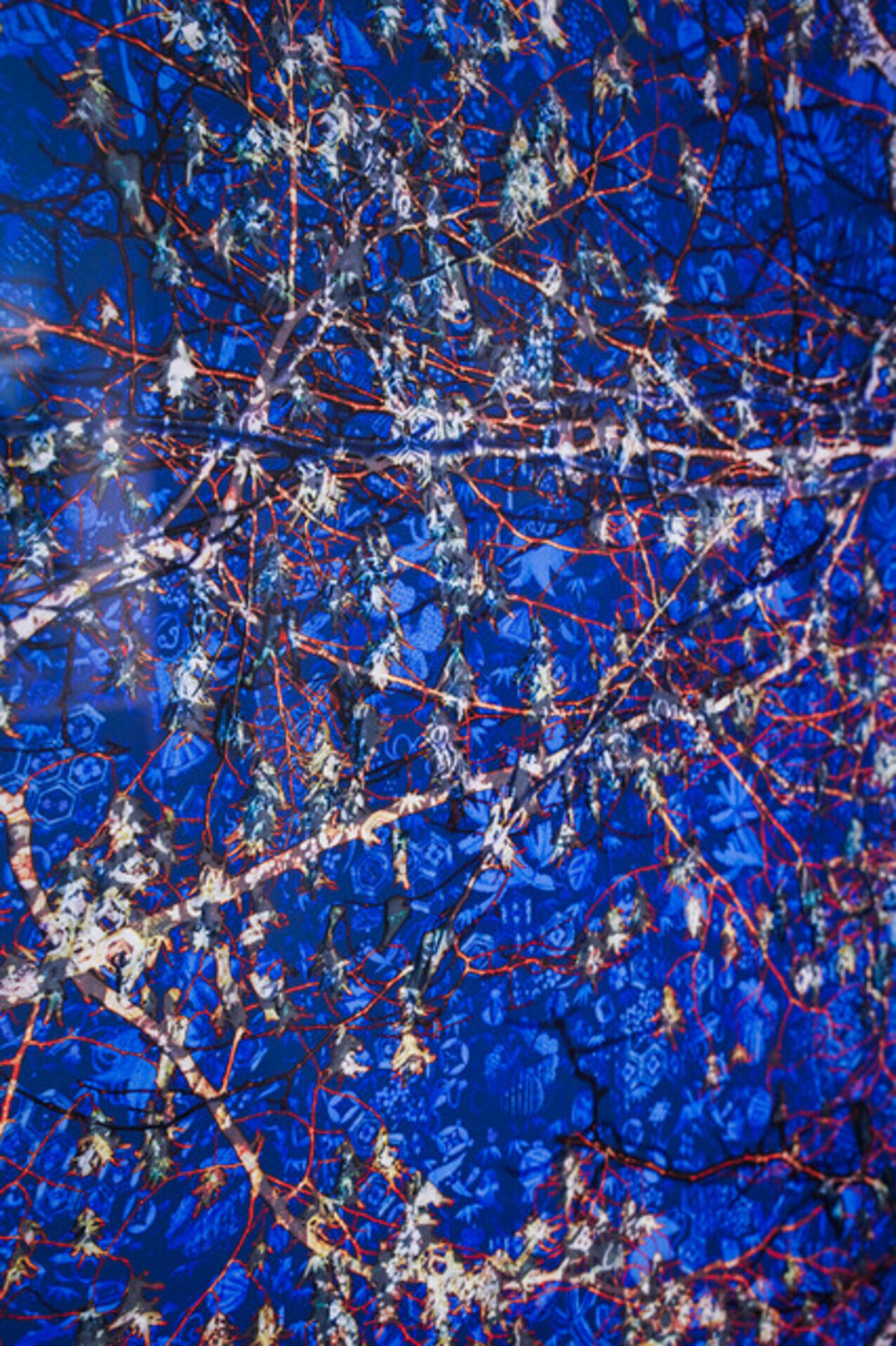 Saison 5 Tree 1