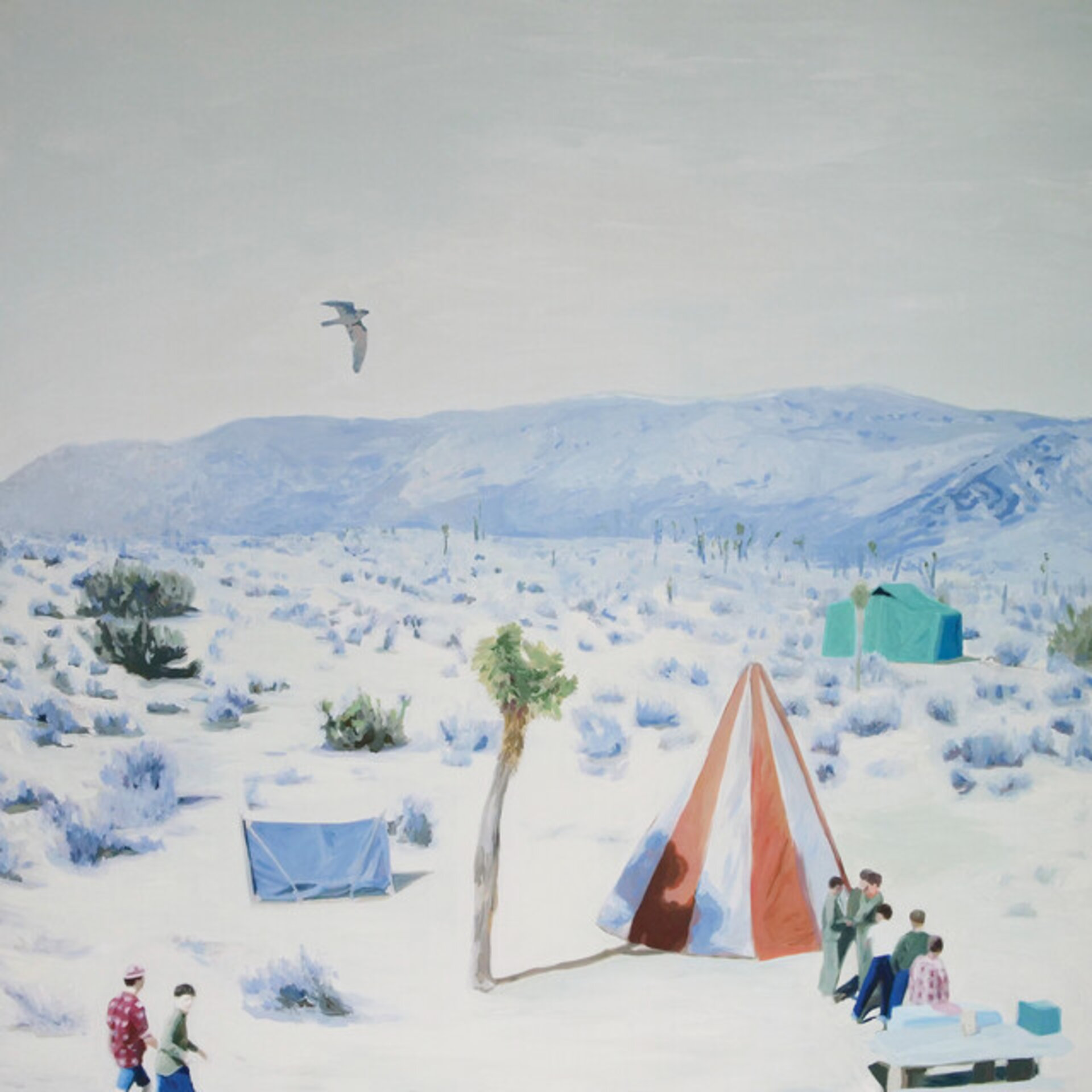 Desert Camp