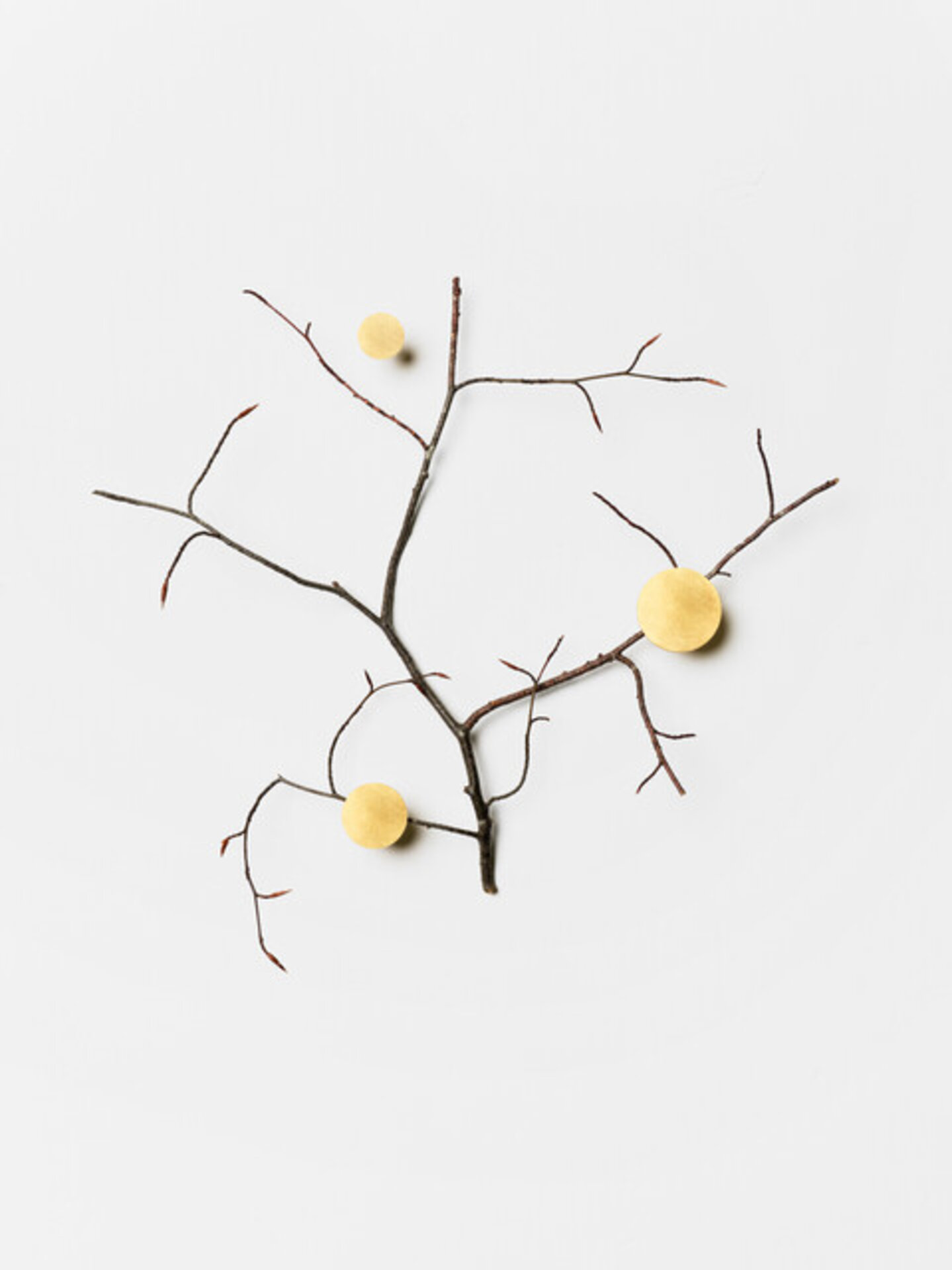 Branch with gold accents