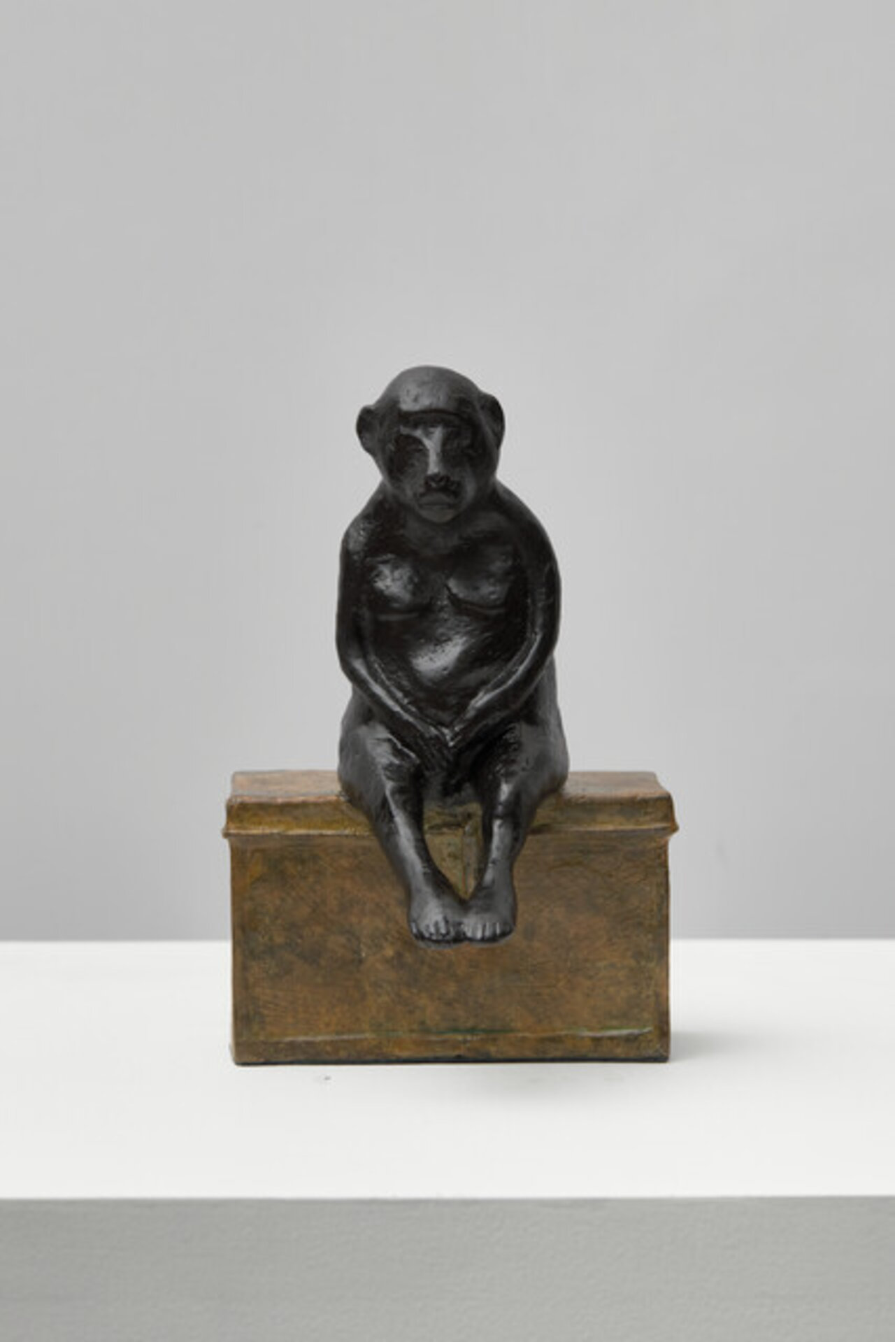 Iteration: Little Papio (sitting on box)