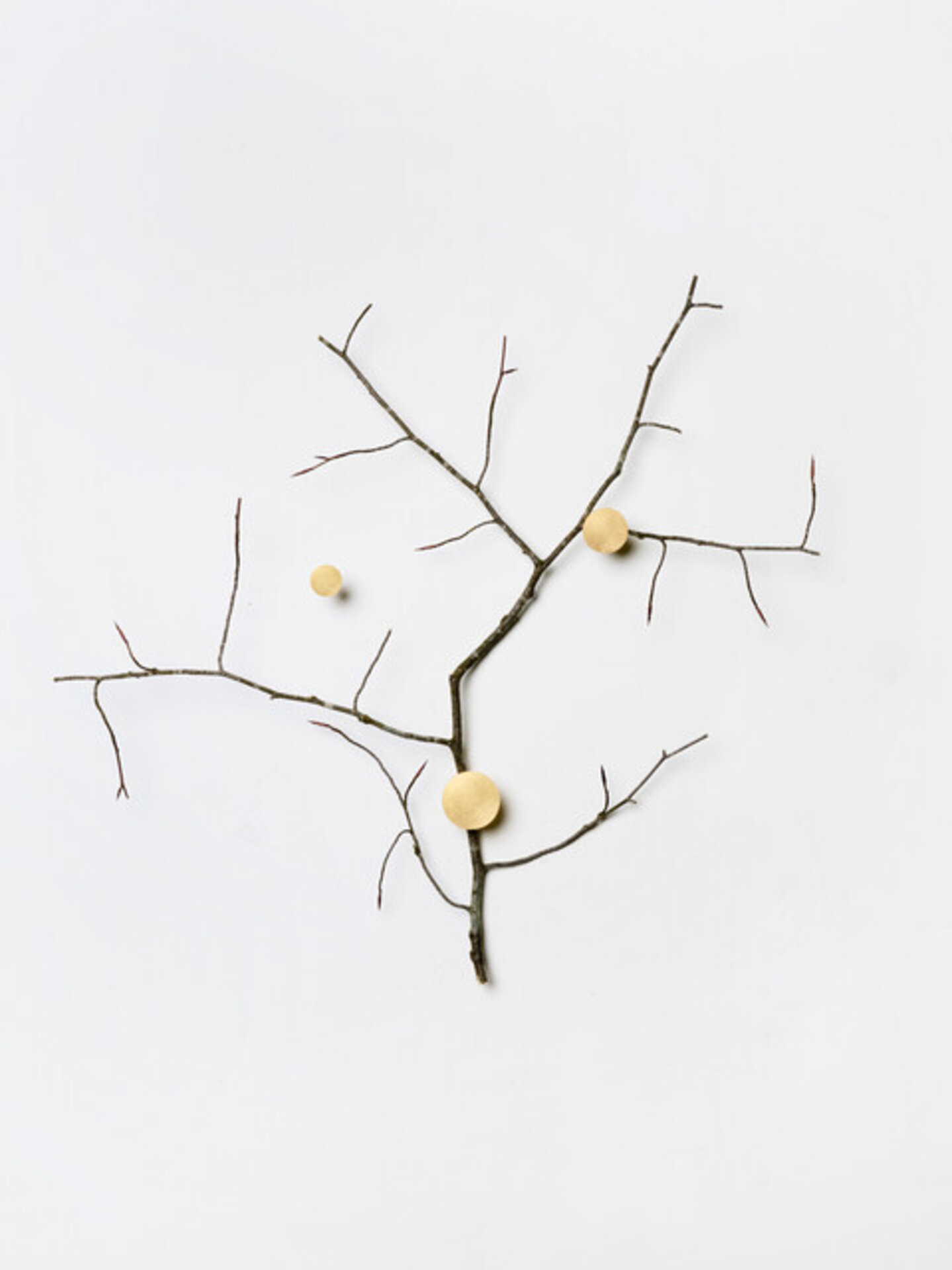 Branch with gold accents