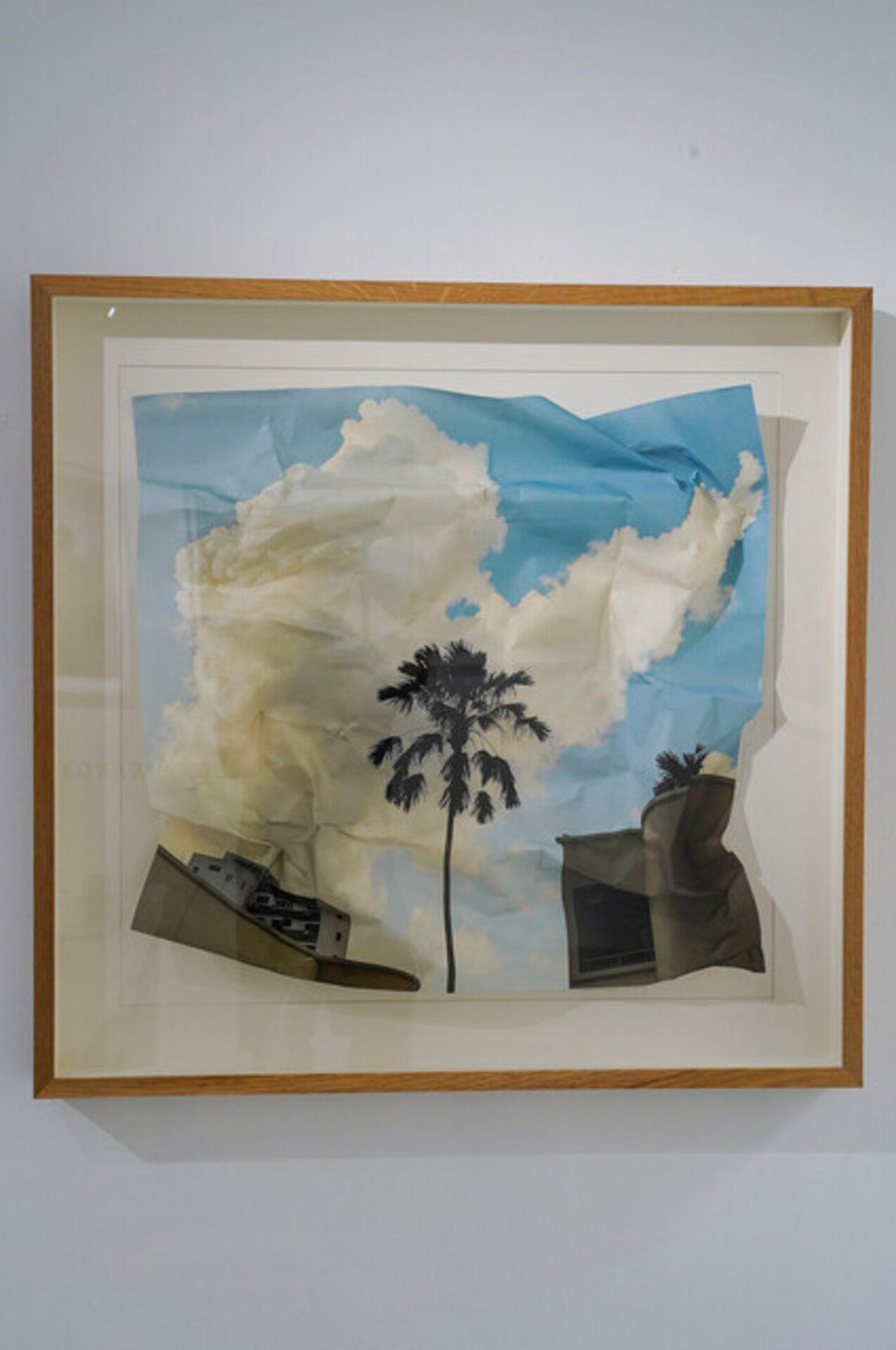 Unfolded trees/Balmoral Palm Tree
