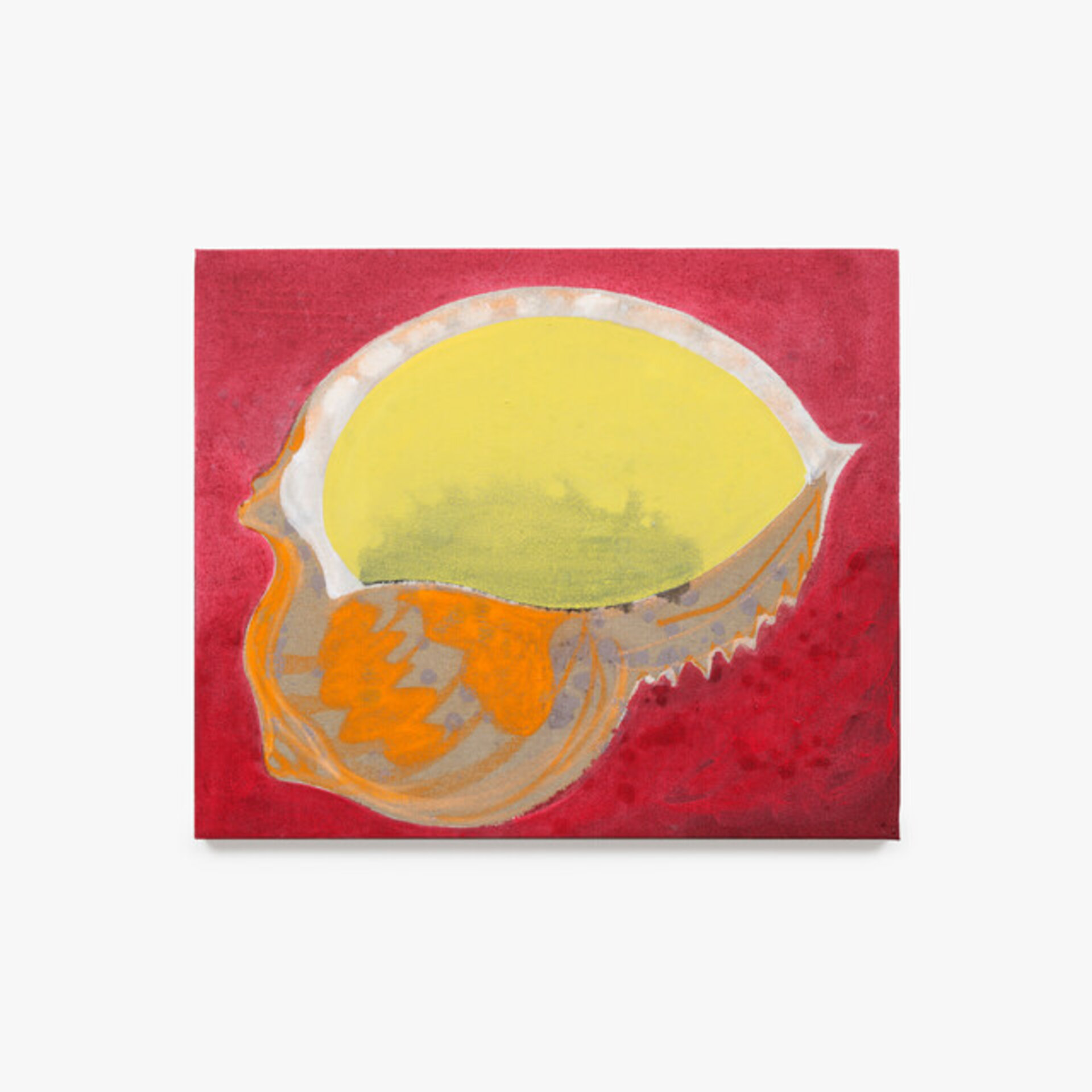 Seashell (lemon)