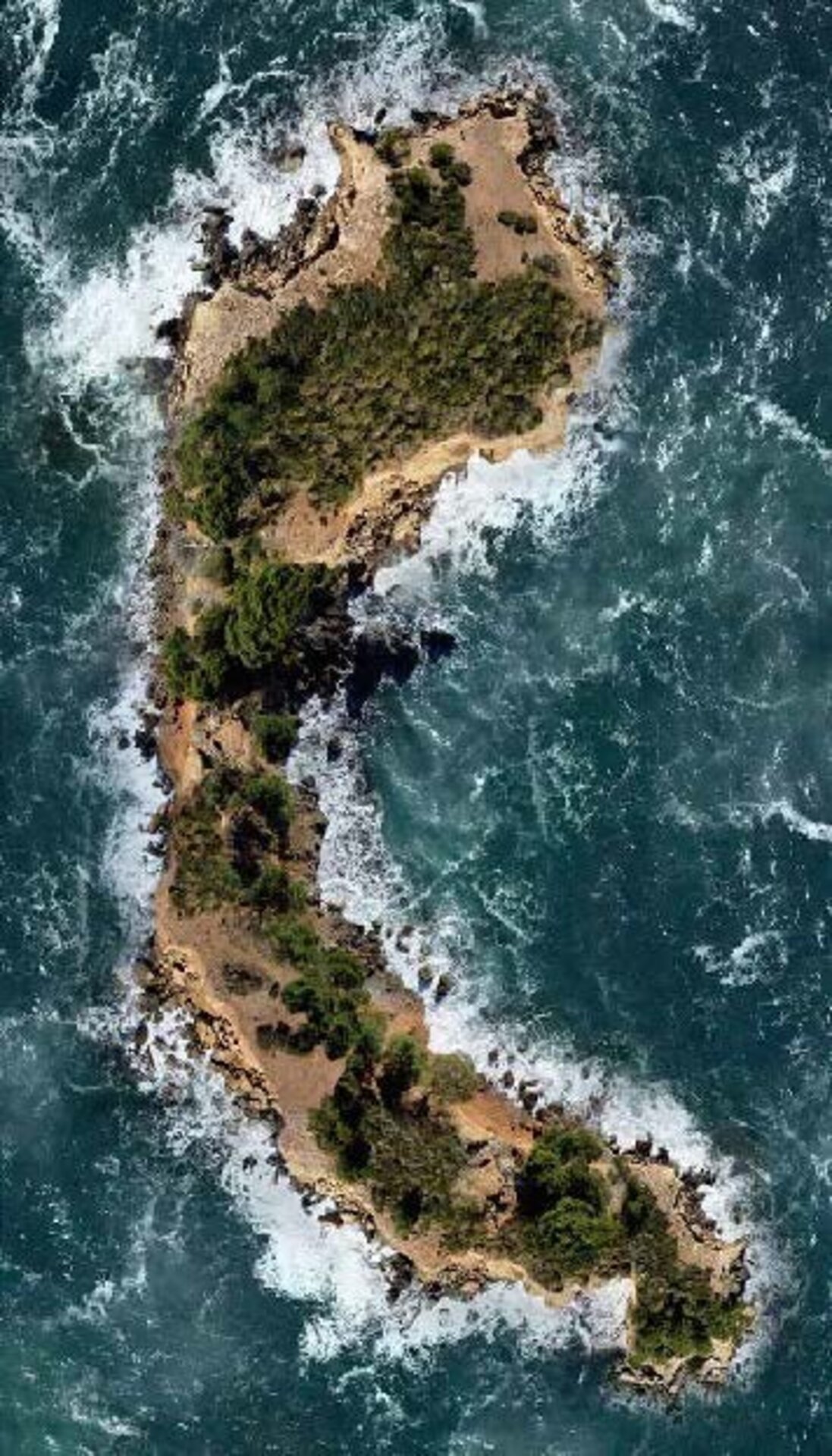 FUTURE ISLAND ISLAND XIV