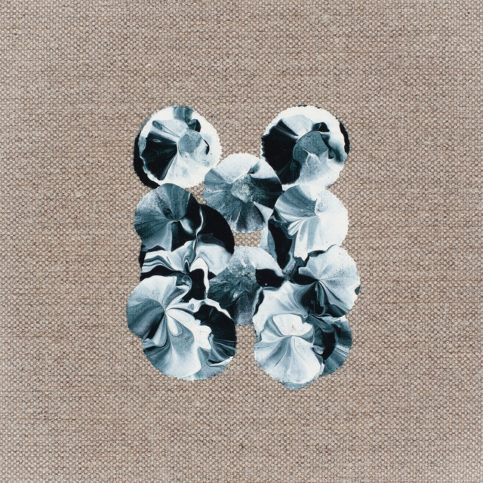 Untitled XVI
