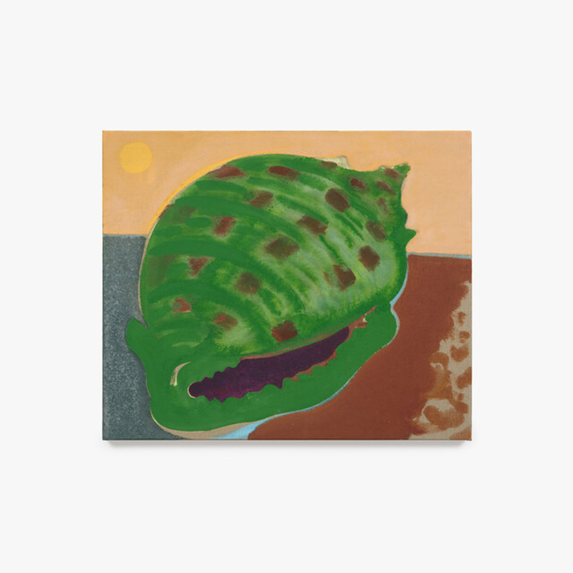 Seashell (potion)