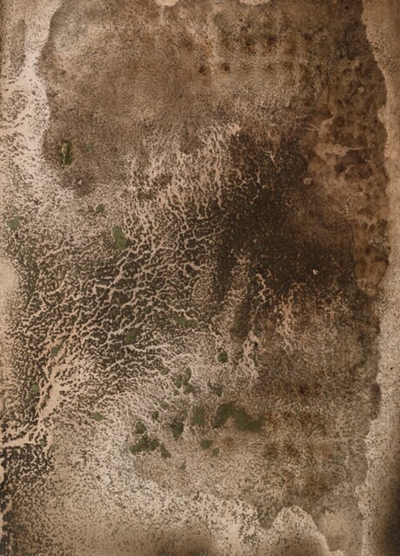 Terrain Series