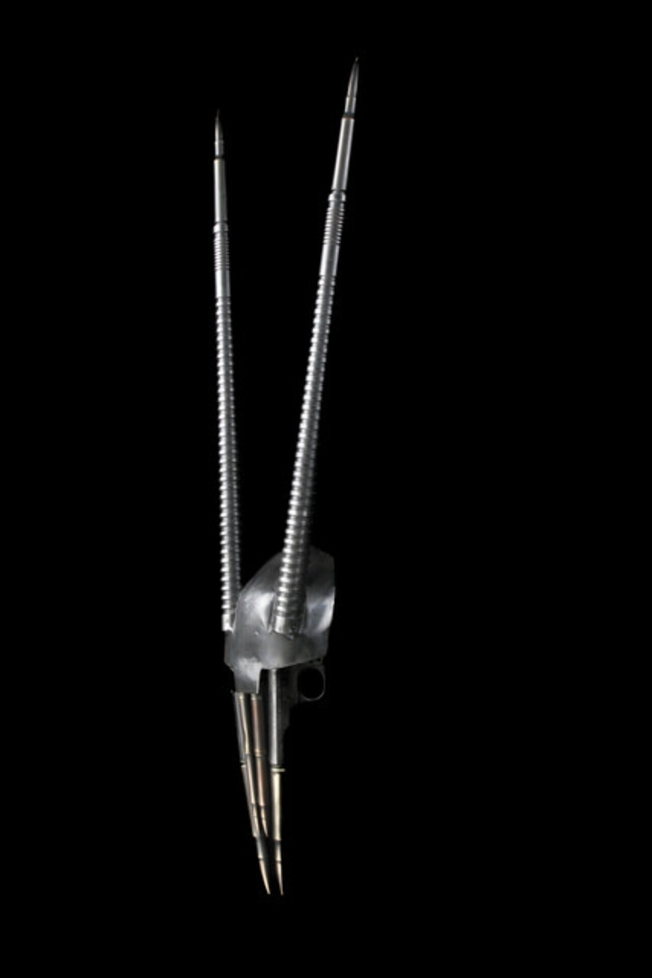 Gemsbok Skull