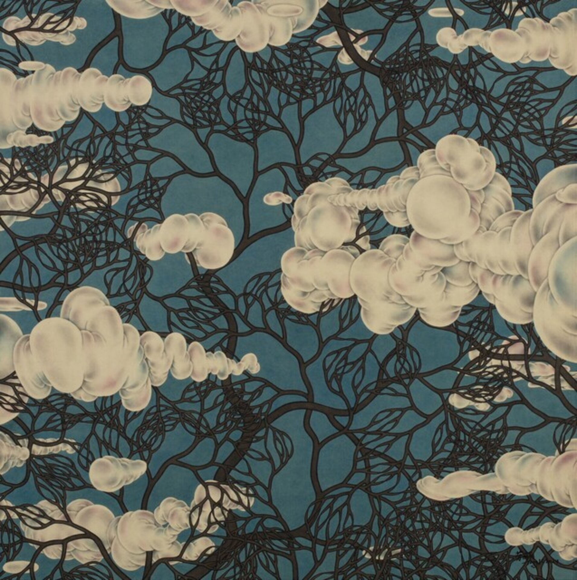 Top of the Clouds No. 01 云端01号