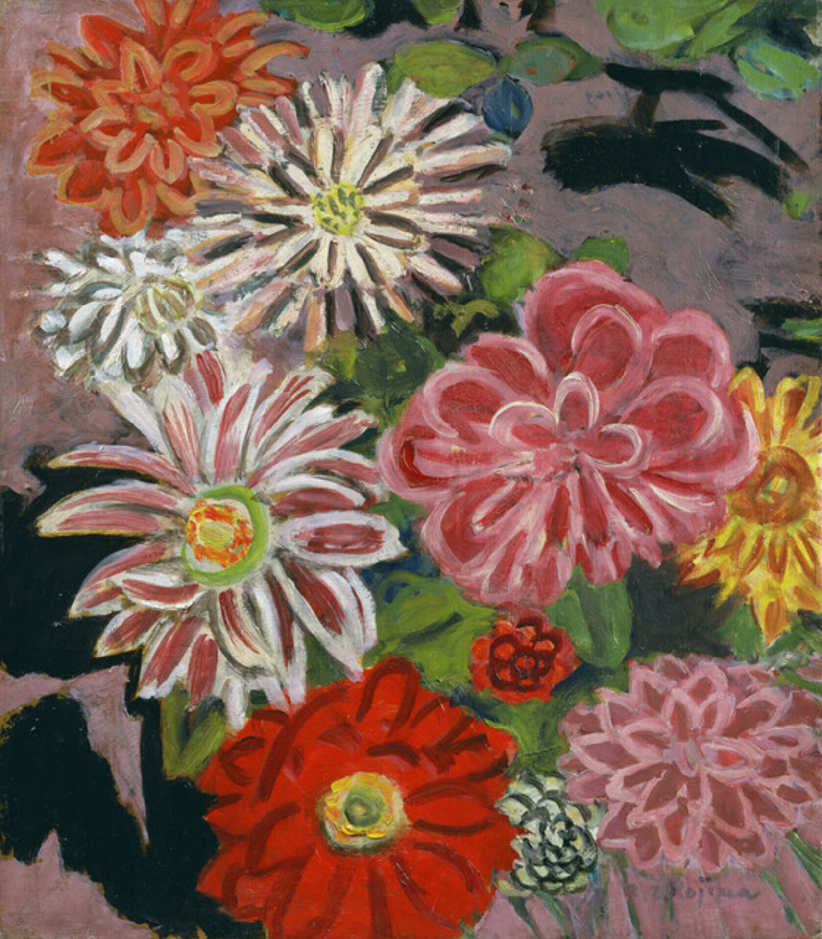 Dahlias
