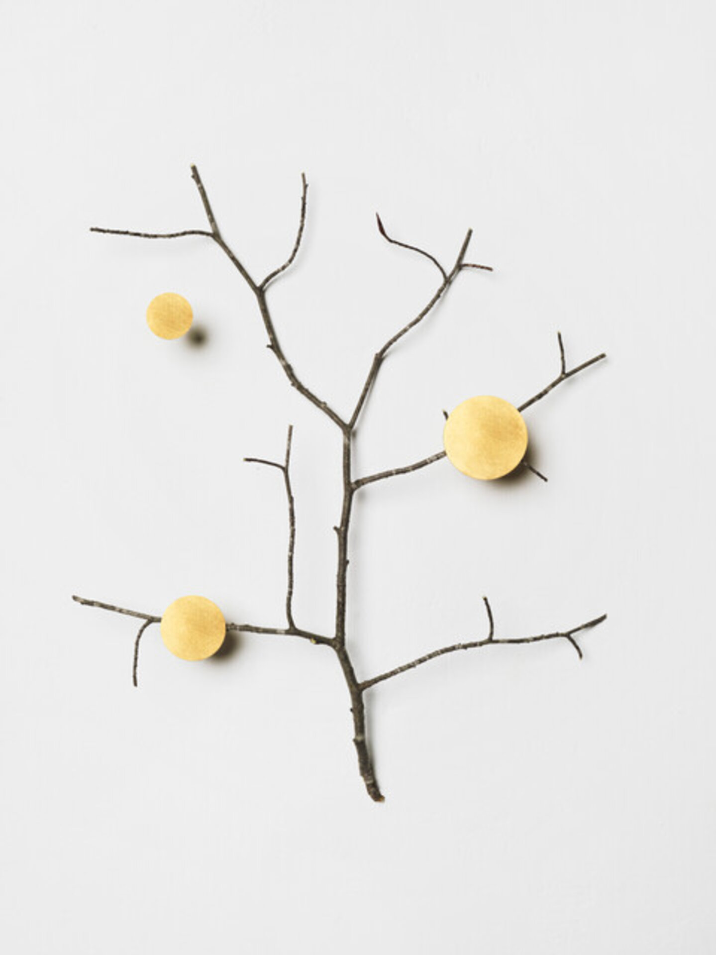 Branch with gold accents