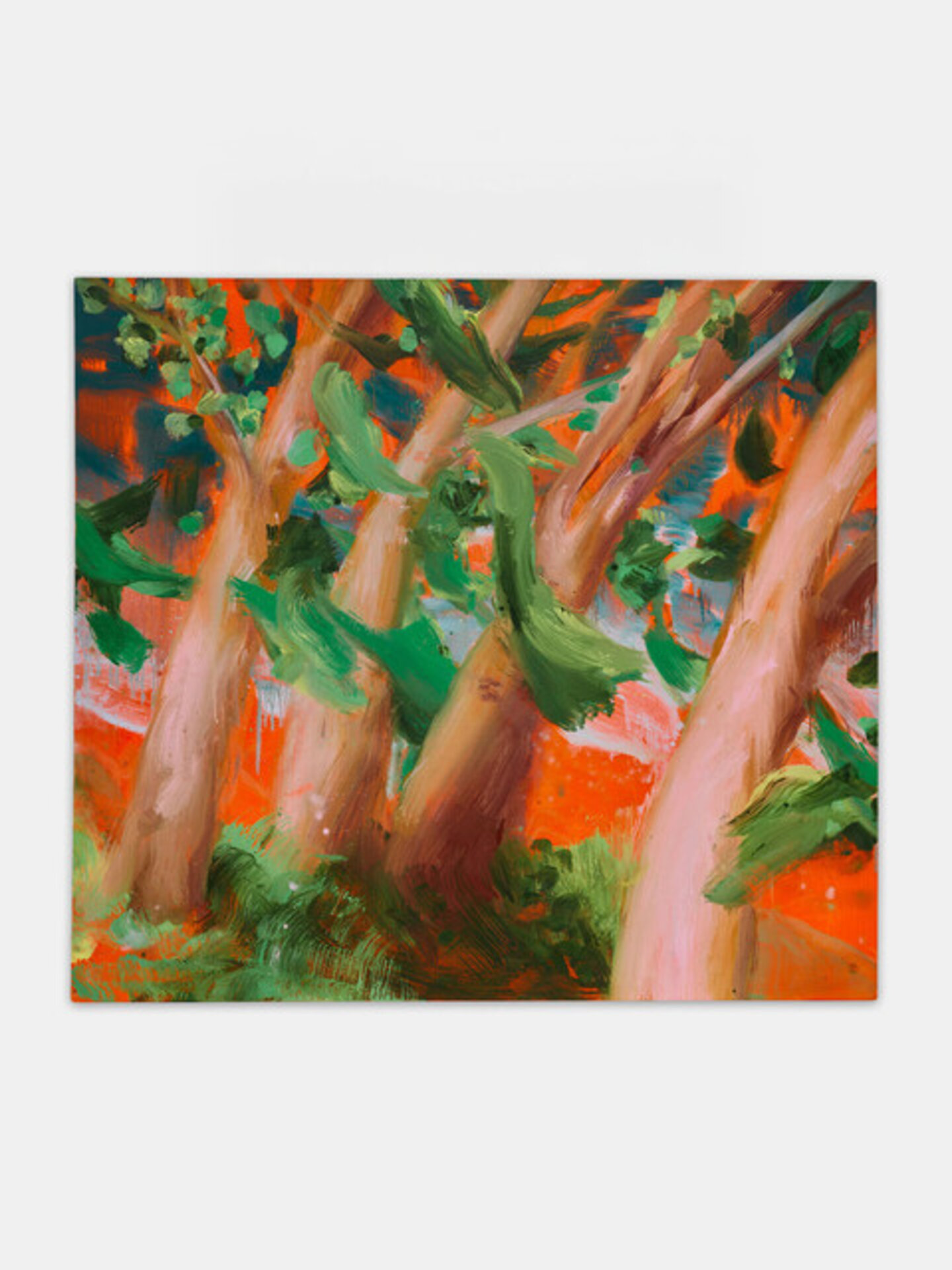 The Avenue 2