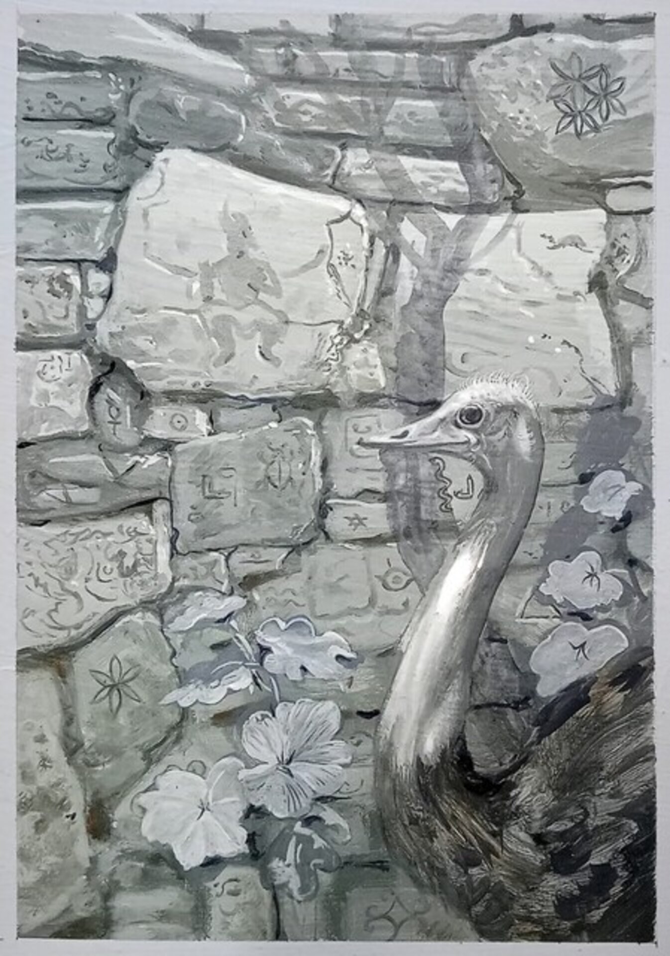 La sombra de un cocculus sobre la pared