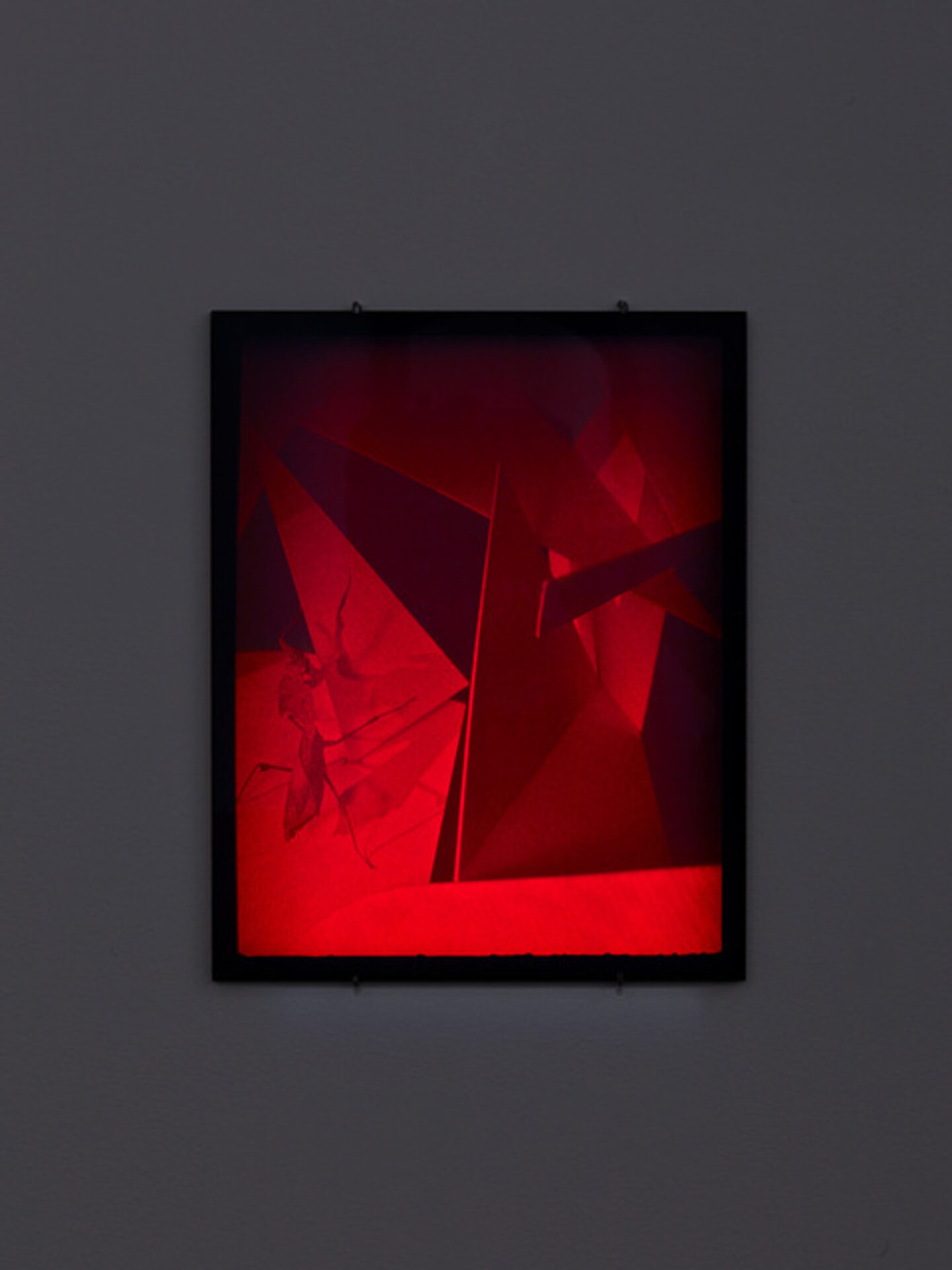 Hologram (Mantis palace)