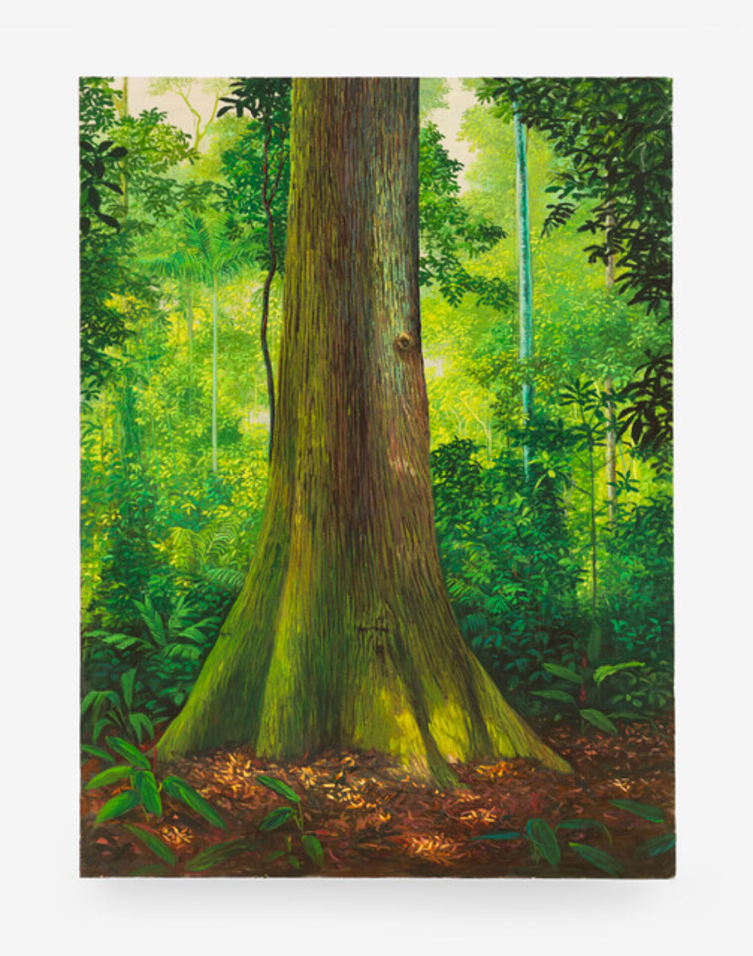 Castanheira