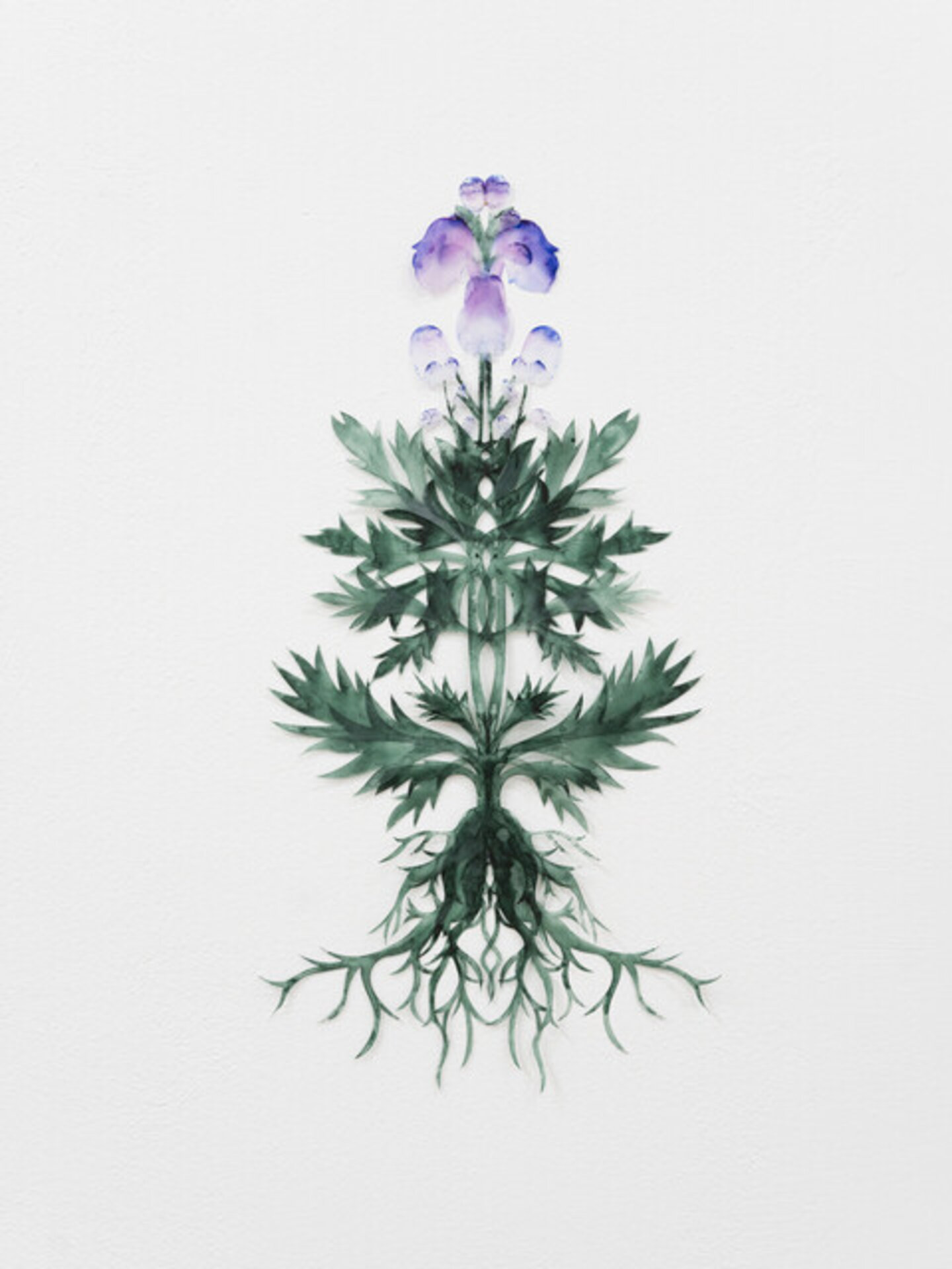 Rorschach Plant (4)