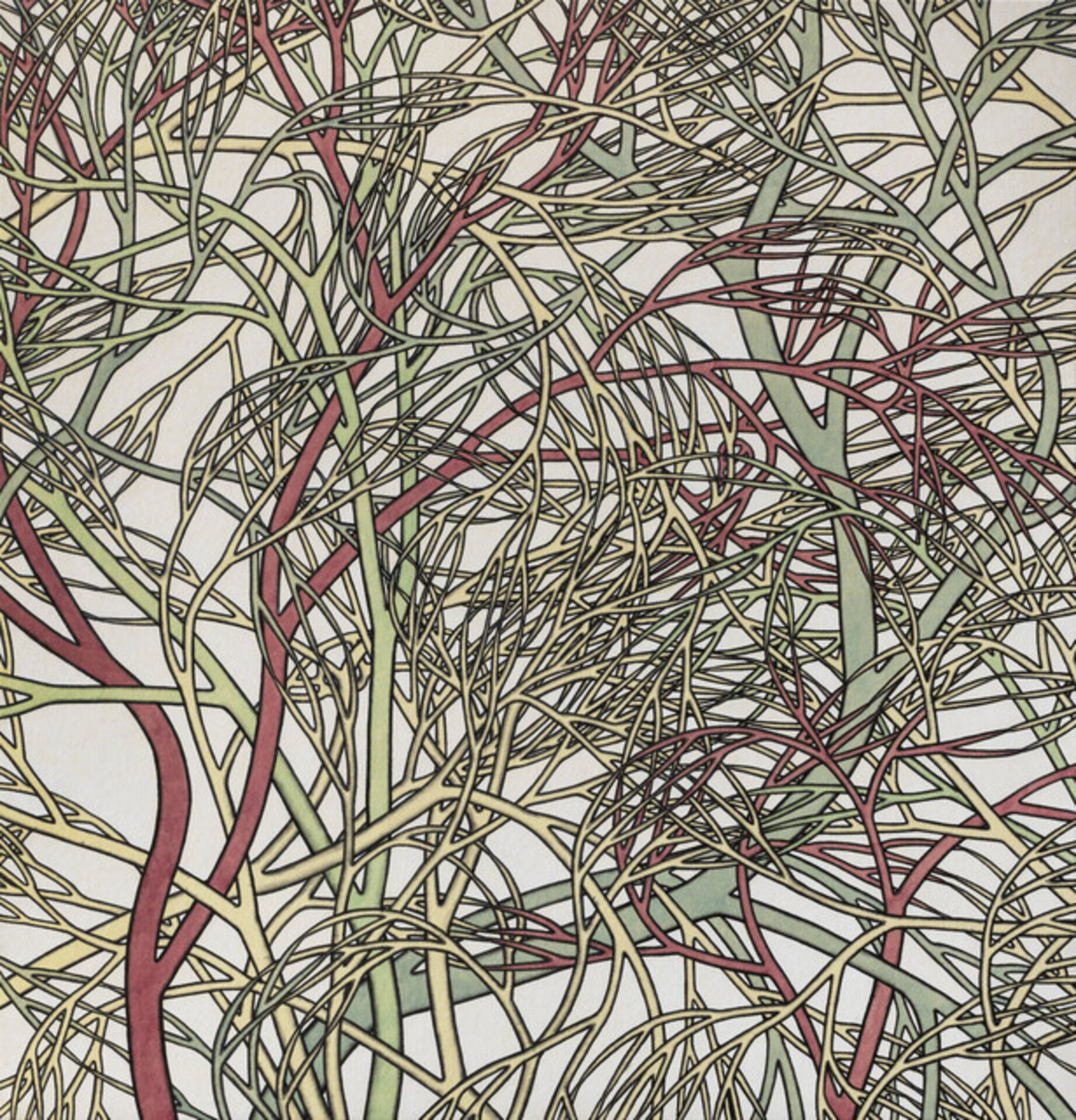 A Thicket No. 01 一簇01号