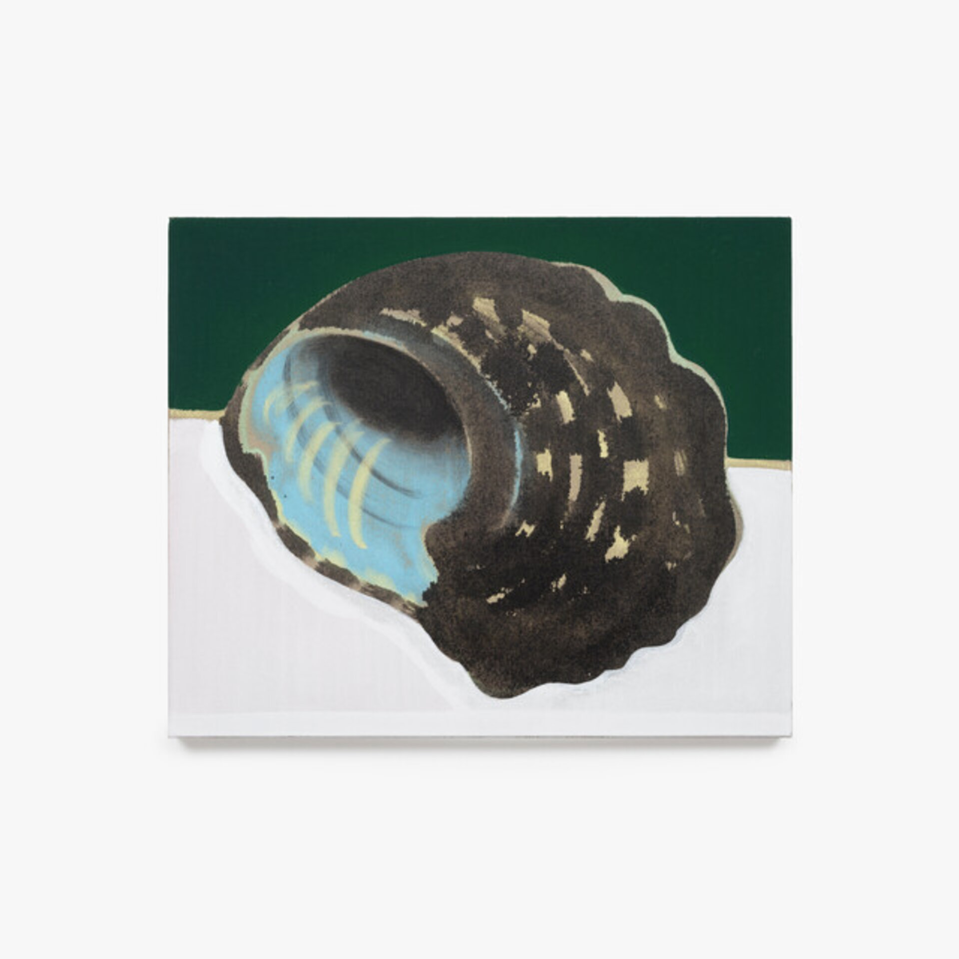 Seashell (lamp)