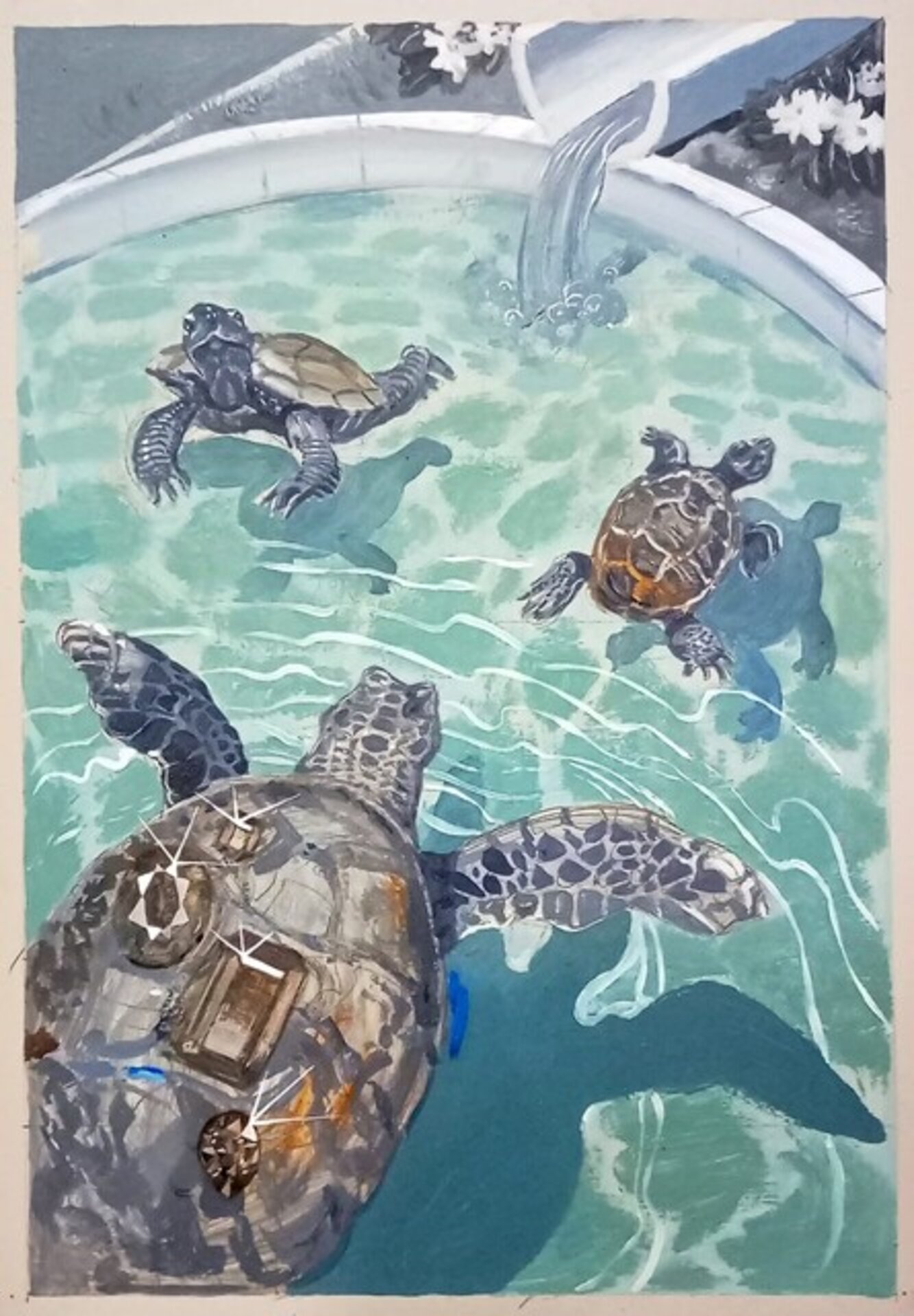 Las tortugas
