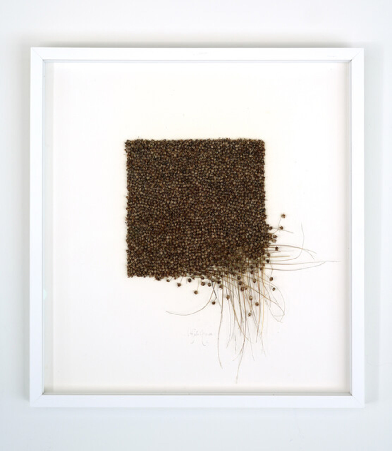 Tissage