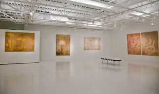 Cursive Script, Color, and Collage: The Art of Wei Jia, installation view