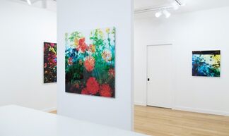 Karine Laval: Artificial by Nature, installation view