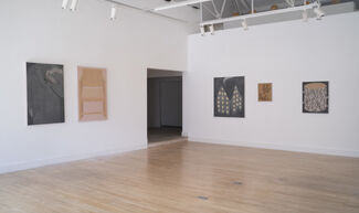 Johnny Izatt-Lowry 'By day, but then again by night', installation view