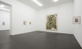 Hans Andersson, installation view