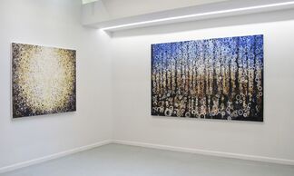 Clearing, installation view