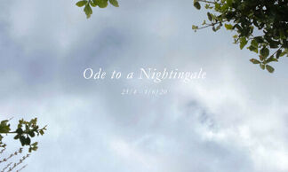 'Ode to a Nightingale', installation view