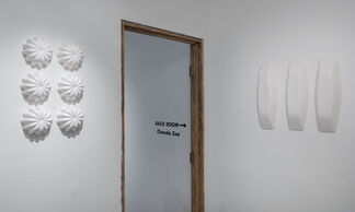 The Essence of Form, installation view
