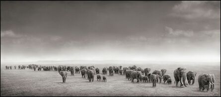 Nick Brandt, ‘Elephant Exodus, Amboseli 2004’, 2004