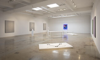 Extracting / Abstracting, installation view