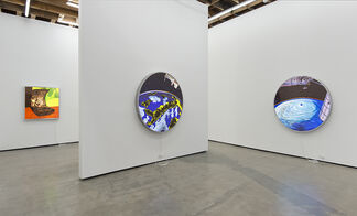 T. Kelly Mason, installation view