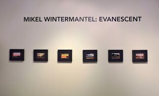 Evanescent, installation view