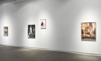 Ageless Ambiguity, installation view