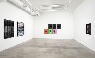Hannah Whitaker: Cold Wave, installation view