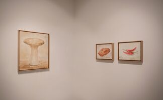 Tang Ke | Fruit: When gazing at an object, I see everything coming along, installation view