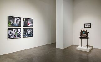 Stacey Steers | Trilogy, installation view