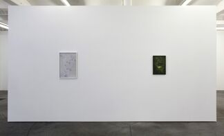 Aiden Morse / Ghost to Ghost, installation view
