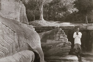 Man Praying at the Foot of Buddha, Sri Lanka