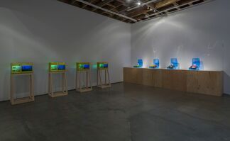 Carl Cheng: Nature is Everything - Everything is Nature, installation view
