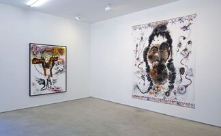 Brad Kahlhamer: A Fist Full of Feathers, installation view