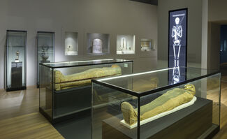 Egyptian Mummies: Exploring Ancient Lives, installation view