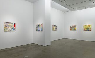 Carolyn Case: Heat and Dust, installation view
