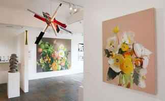 RAWsalt | Michael Harnish | THE FLOWER POLAROIDS, installation view