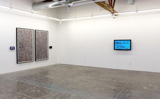 Jason Salavon: Recent Work, installation view