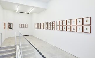Andy Warhol Polaroid Pictures, installation view